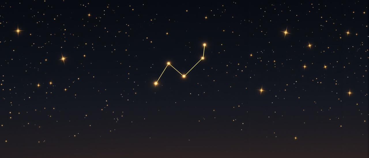 星芽短剧免费 星芽短剧免费品牌形象